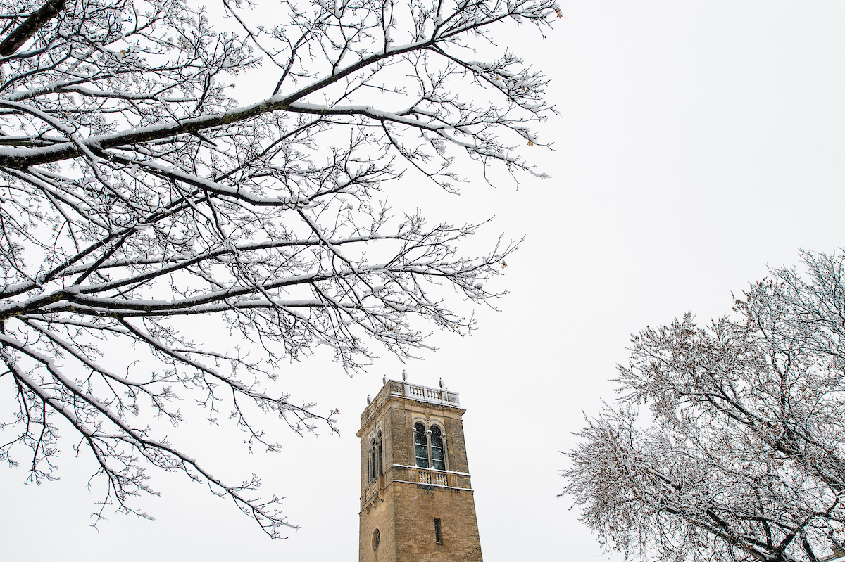 A view of Carillon Tower in winter framed with branches covered in snow.