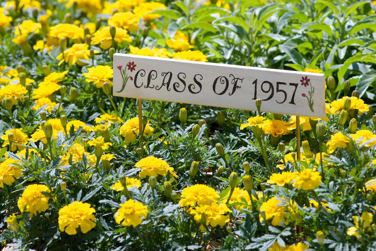 Surrounded by yellow flowers, a wood marker reads "Class of 1957."