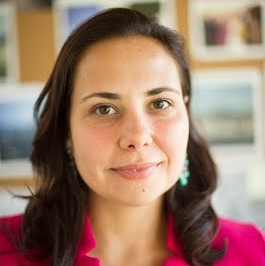 Silvia H. Barcellos
